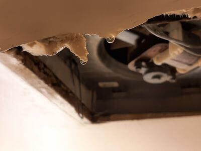 Professional water damage restoration services in Alexandria - Alexandria Water Damage Restoration